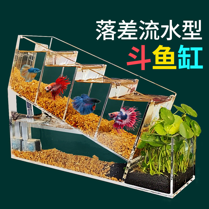 1002-Betta Fish Aquarium with Water Circulation