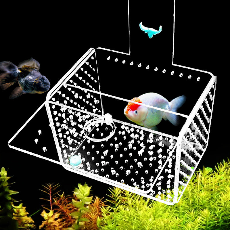 1007-Aquarium Breeding Box