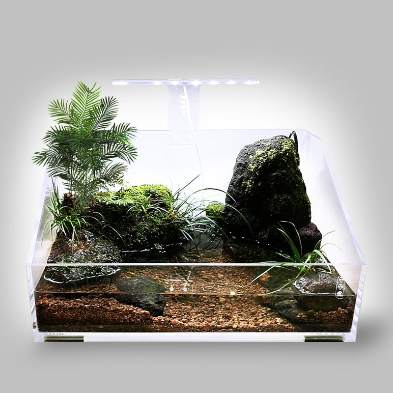 1008-Ecological Landscape Aquarium
