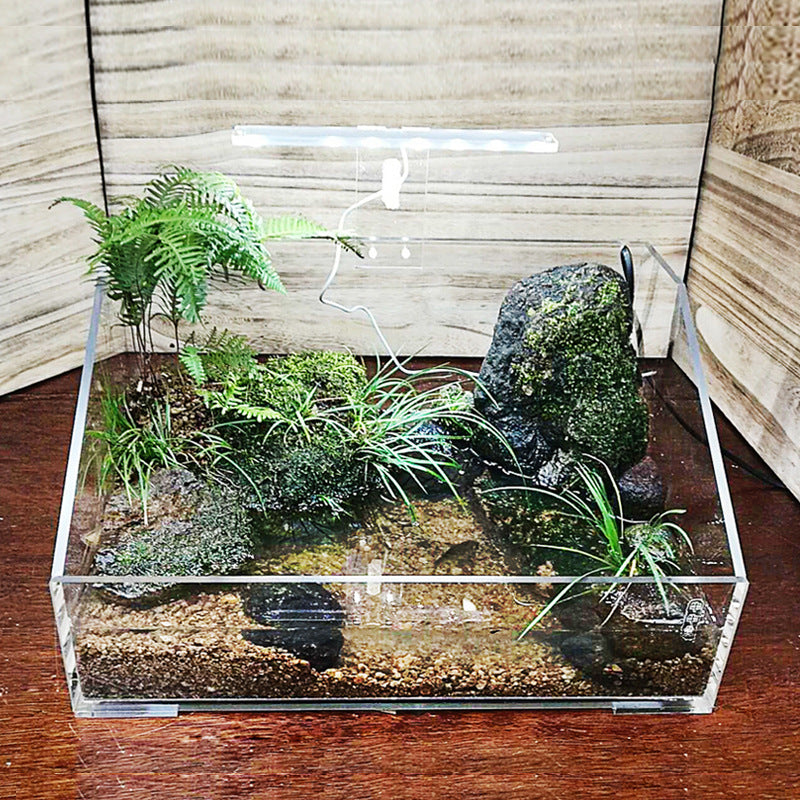 1008-Ecological Landscape Aquarium