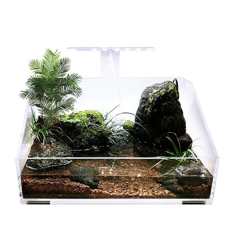 1008-Ecological Landscape Aquarium