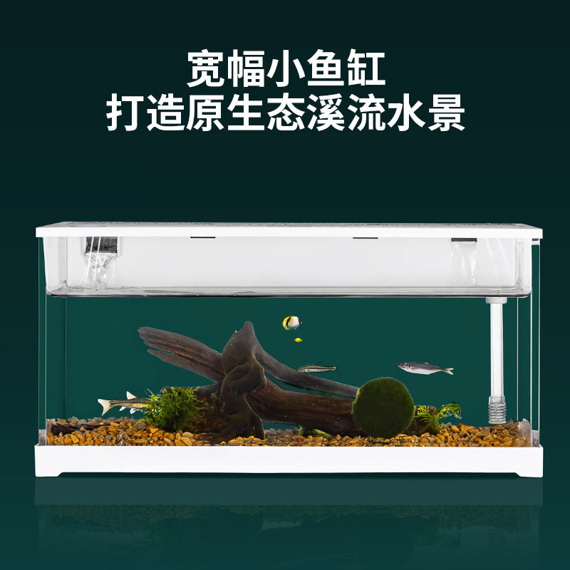 1009-Ornamental Fish Aquarium