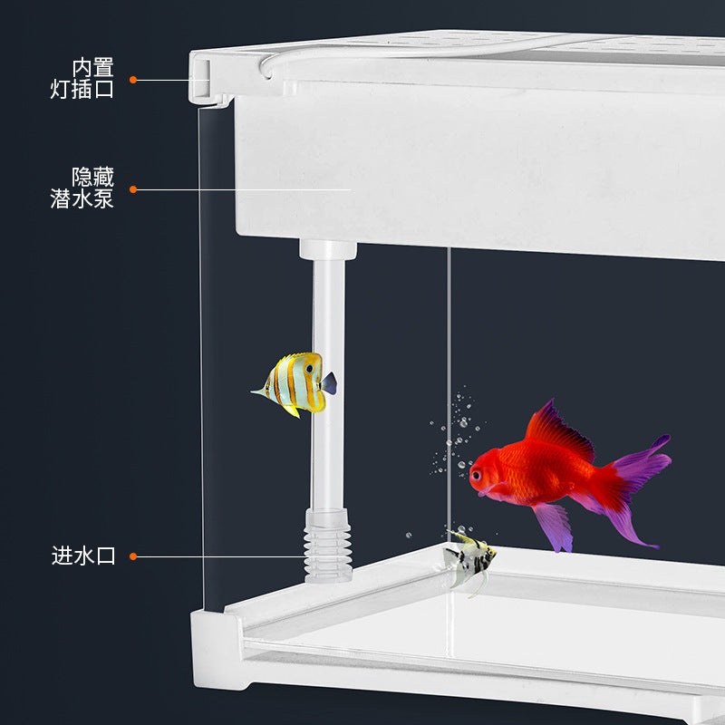 1009-Ornamental Fish Aquarium