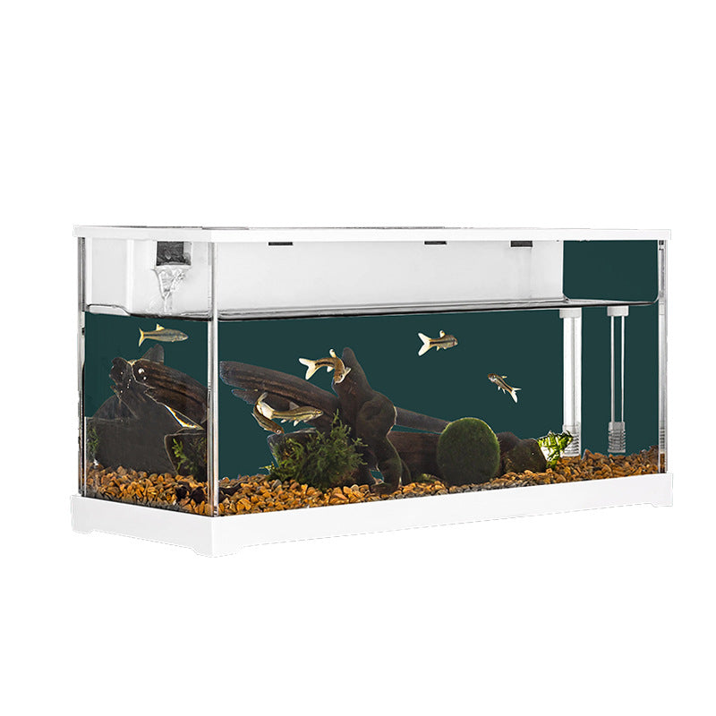 1009-Ornamental Fish Aquarium