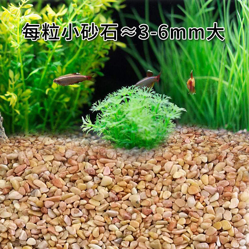 1010-Aquarium Scenery Bottom Sand