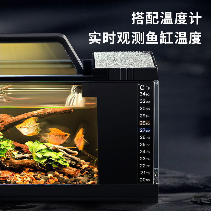 1013-Primary Aquarium With Side Filter