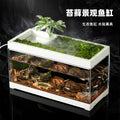 1017-Moss Ecological Fish Aquarium