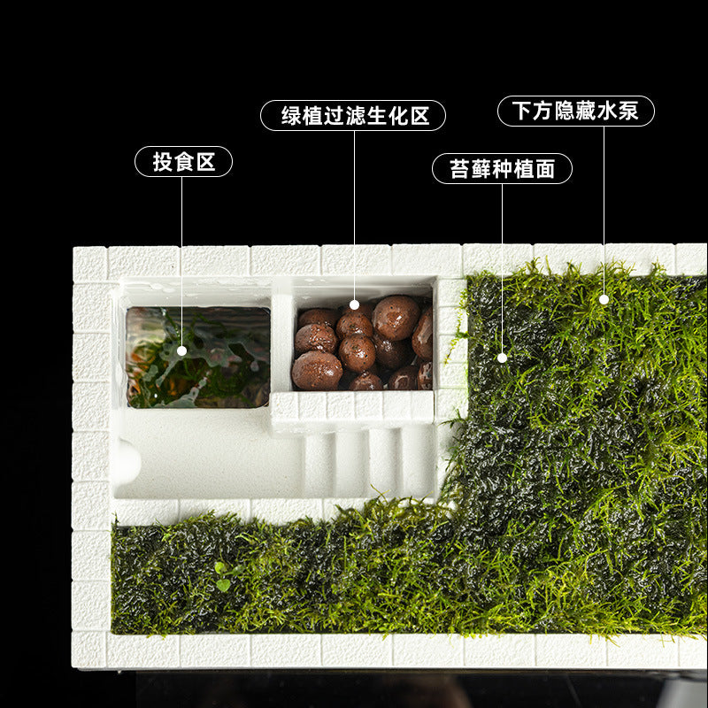 1017-Moss Ecological Fish Aquarium