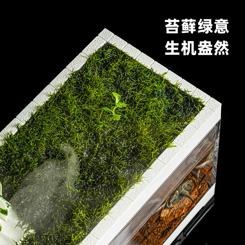 1017-Moss Ecological Fish Aquarium