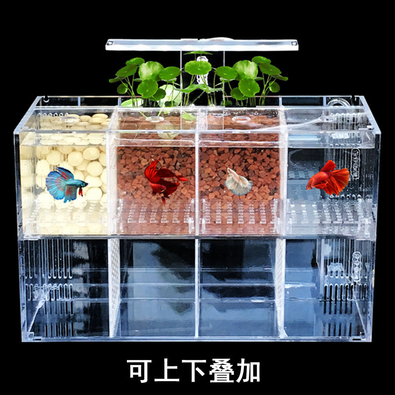 1001-Betta Fish Aquarium