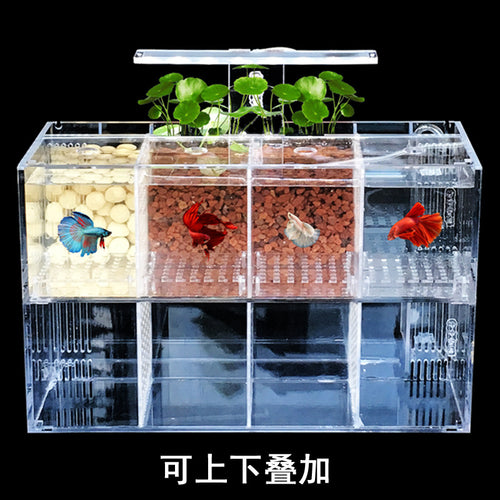 1001-Betta Fish Aquarium