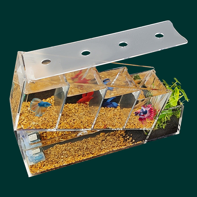 1002-Betta Fish Aquarium with Water Circulation