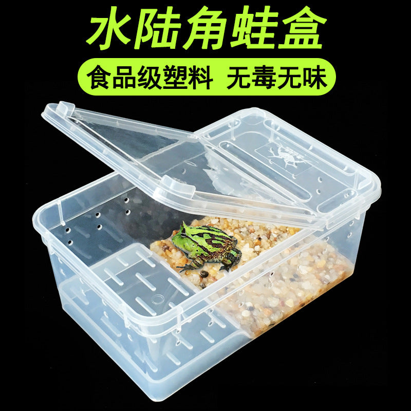2002-Plastic Frog Box