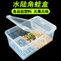 2002-Plastic Frog Box