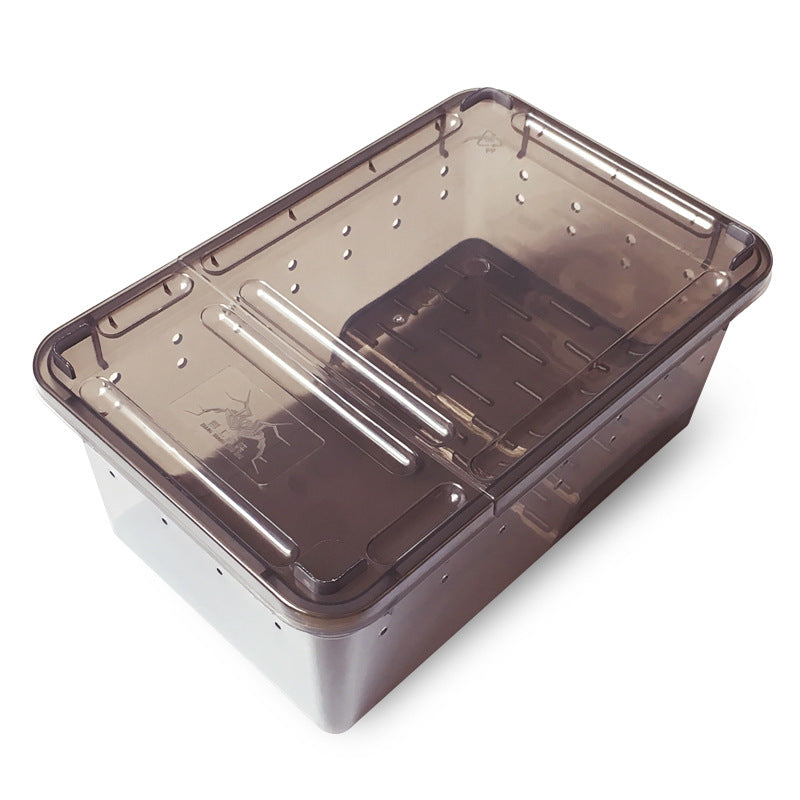 2002-Plastic Frog Box