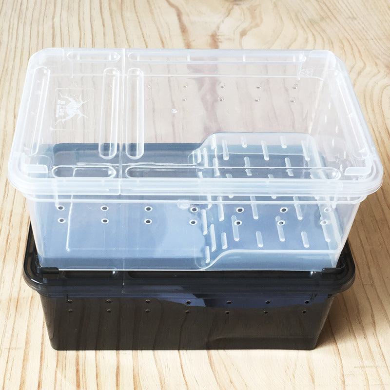 2002-Plastic Frog Box