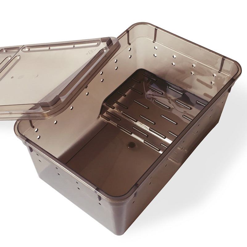 2002-Plastic Frog Box