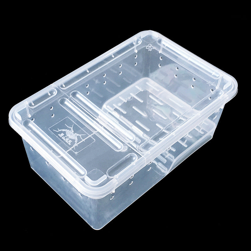 2002-Plastic Frog Box