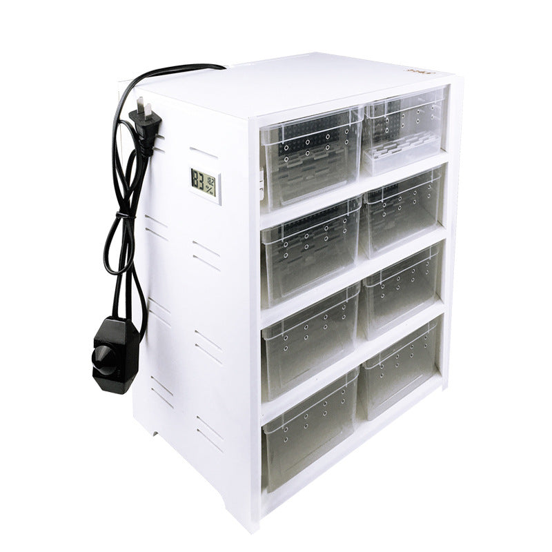 2004-Overwintering Insect Box