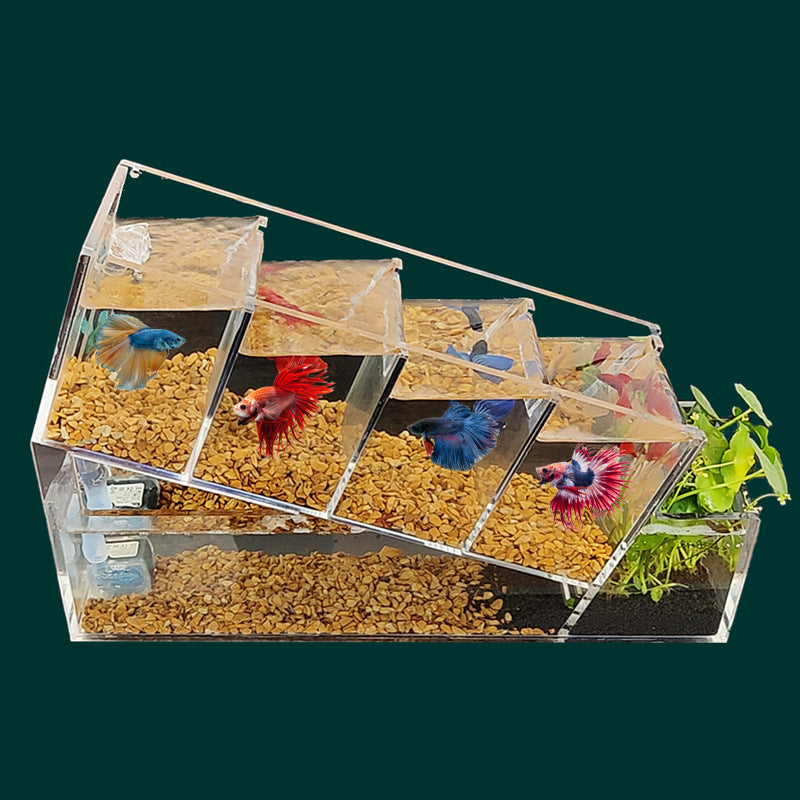1002-Betta Fish Aquarium with Water Circulation