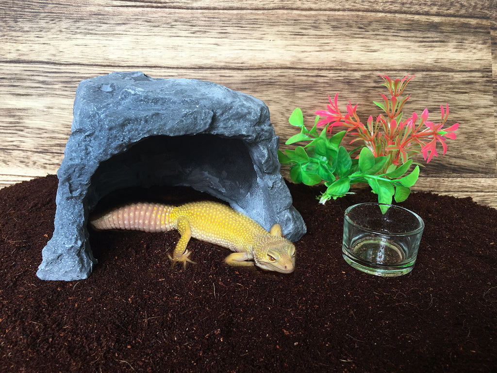 3001-Reptile Hiding Cave