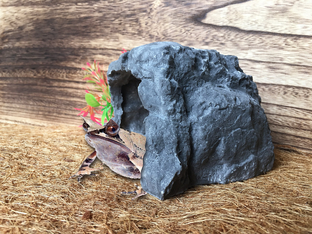 3001-Reptile Hiding Cave