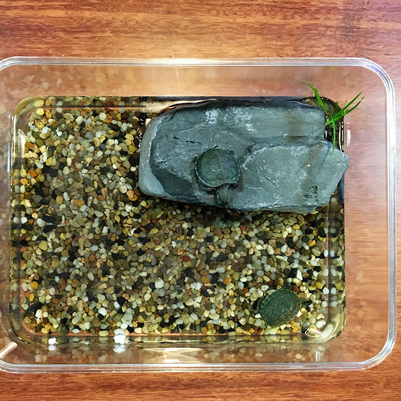 3002-Turtle Basking Platform