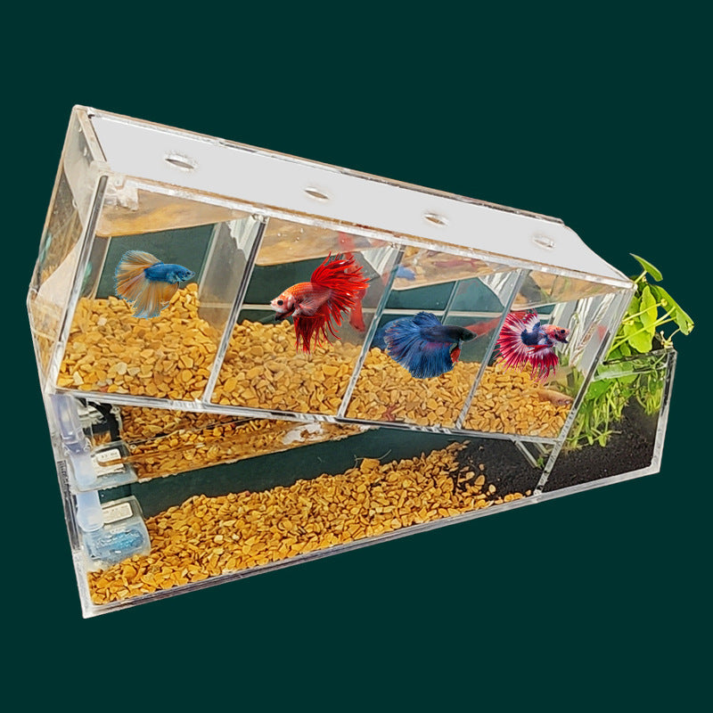 1002-Betta Fish Aquarium with Water Circulation