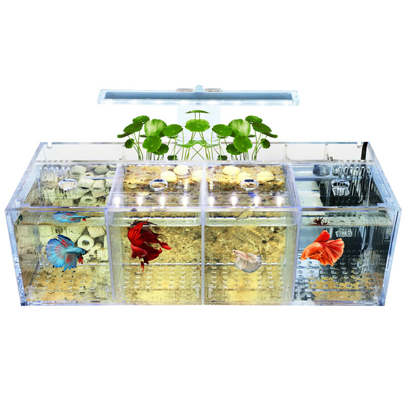 1001-Betta Fish Aquarium