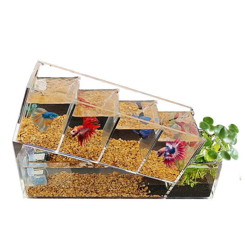 1002-Betta Fish Aquarium with Water Circulation