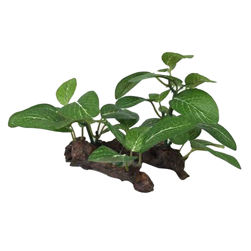 1005-Artificial Water Grass